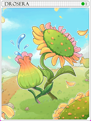 Drosera Card